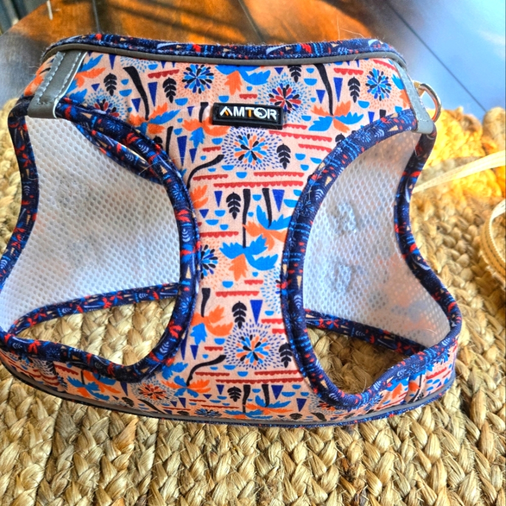 AMTOR Colorful Pet Harness with Matching Leash